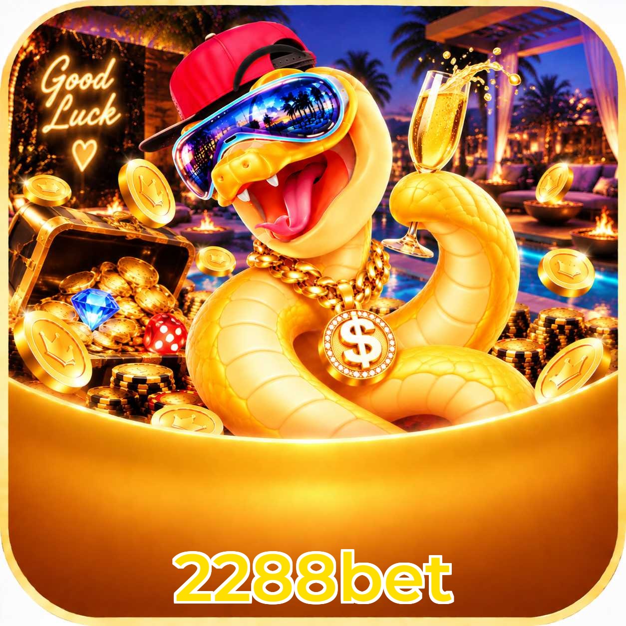 2288bet App vs Web